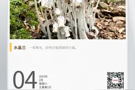 湖湘自然历丨郴州风物㉘幽灵？别怕！图片