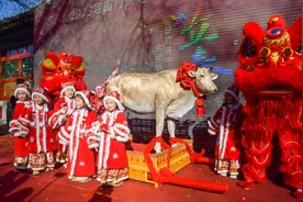今天立春！北京古观象台“鞭打春牛”迎春纳福图片