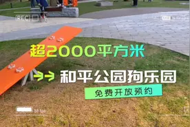 视频 | 超2000平方米，还有狗狗游乐设施！看看和平公园改造的狗乐园啥样？图片