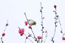 一降温就关节痛？骨科医生教你立春时节这样做，动若脱兔一整年图片