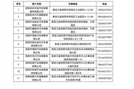 落实“20条”进行时｜200万元政府补贴助力 “2023年鸡西·兴凯湖春季惠民汽车节”启幕图片