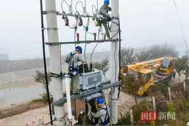 新增变压器为数字化育种注入强大动能，供电部门助力企业冲刺“开门红”图片