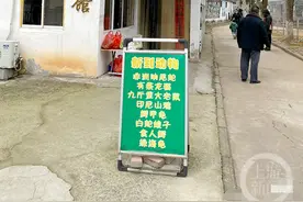 动物园新到九斤重大老鼠？园方：变异老鼠图片