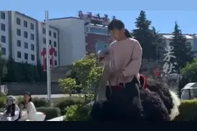 云南小女孩骑鸵鸟上课，周围人直呼“太牛了”图片