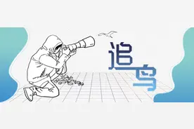 难见真容的小田鸡，被他拍到了！图片