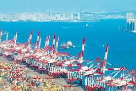 深度关注｜自贸区跑出加速度图片