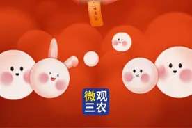 欢欢喜喜过元宵，“农业版灯谜”等你来挑战！图片
