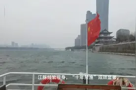 追寻江豚⑤|最美印记！“十年禁渔”唤归鱼鱼鱼的微笑图片