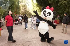 通讯：美国圣迭戈动物园喜迎兔年新春图片