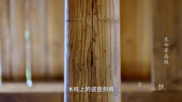 80多年前的他们垫“增高垫”，只为够得上能当红军的那条线……