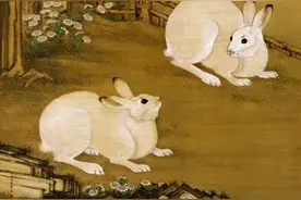 中国人为何那么喜欢“兔”图片