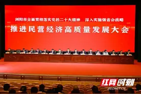 浏阳召开高质量发展千人大会  盐津铺子董事长张学武为何登上了主席台？图片