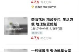 每平米房价不足千元，山东乳山成“鹤岗第二”？中介：低价房有水分，专家：问题不止人少图片