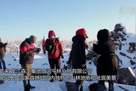 穿越林海雪原 体验雪地摩托游的“速度与激情”图片