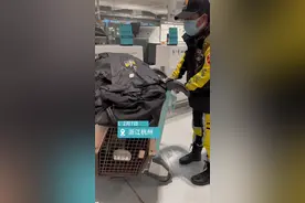 8名地震救援专家！公羊救援队还带上了最有经验的它奔赴土耳其图片