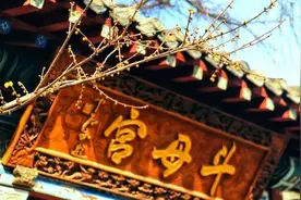 壹图集|泰山古盘道蜡梅，暗香浮动送春来图片