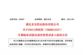 东宝药业：URAT1抑制剂II期临床试验完成首例受试者入组，治疗痛风和高尿酸血症图片