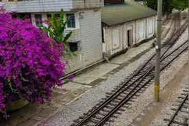 走在滇越铁路旁：穿越时光 见证巨变图片