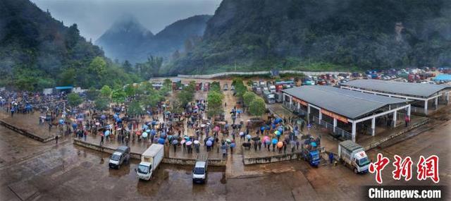 大水牛优化（中越边境千年牛市交易回暖）