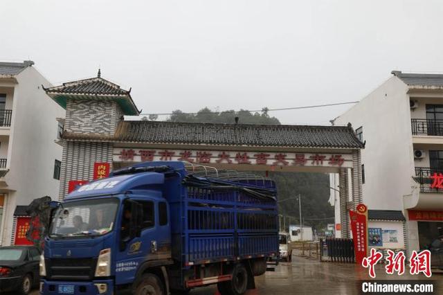 中越边境“千年牛市”交易回暖