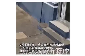 狗狗走失进派出所求助，网友：狗狗也学到了有困难找警察图片