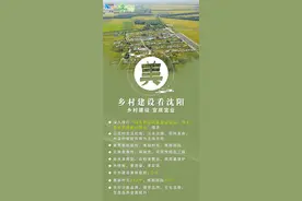 擘画乡村新景象 书写振兴新篇章丨美 乡村建设看沈阳图片