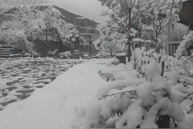 美呆了！ 鲁山西部山区普降大雪图片