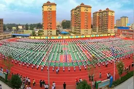 又折东风第一枝——莘县教育系统专项审计调查项目获国字号荣誉图片