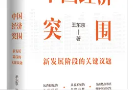 王东京：怎样解开当前的债务链图片