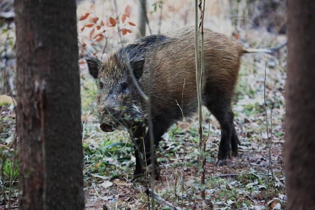 亚搏手机在线登录app(中国)官方网站ios/安卓通用版/手机app