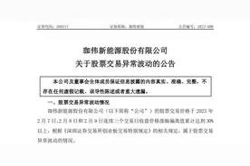 珈伟新能：后续深耕光伏，不再将锂电池作为未来方向图片