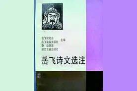 剑胆琴心读岳飞图片