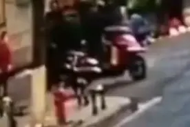 北京一大爷遛狗狗绳绊倒电动车，经鉴定男子肘关节活动受限图片