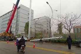 绿化带中违规竖起35米高信号塔，东湖高新区城管路长督促拆除图片