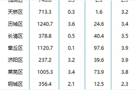 济南公布各区县GDP，莱芜区进入“千亿俱乐部”图片