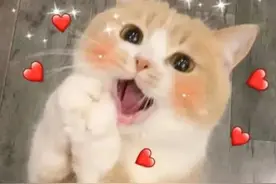 上海人，身份证照片可以在家用手机拍摄、上传了！如何操作→图片