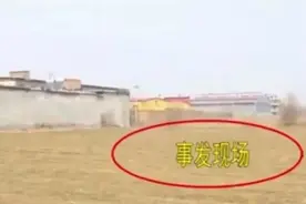 6旬夫妇遭5条恶犬围攻1死1伤！狗主人被拘留，知情人：两老人遍体鳞伤图片