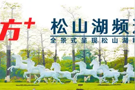 人人有创新！松山湖未来学校首届创造节开放日亮点纷呈图片