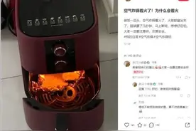 空气炸锅起火！这个细节，很多人不知道图片
