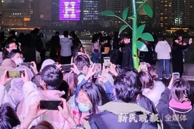 巨型玫瑰营造魔都浪漫图片