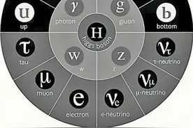 对撞机，究竟是个什么机图片