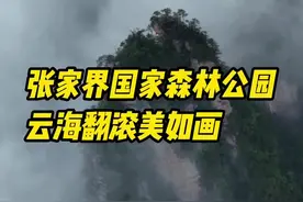 张家界国家森林公园：云海翻滚美如画图片