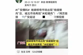 云辟谣｜四川广安出现“米粒猪肉”？市场监管局回应：白色颗粒为生猪免疫接种后形成的脓肿图片