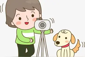 所有奉贤人，身份证照片也可以自己拍摄了，但是不可以美颜哦！图片