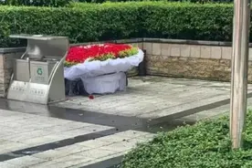 这届单身网友，情人节打算和垃圾桶过？图片