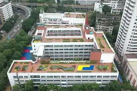 向上延伸的创意！罗湖中学的屋顶花园即将上线图片