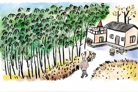 从“自养”到“退养”，农村正在发生静悄悄的生活革命图片