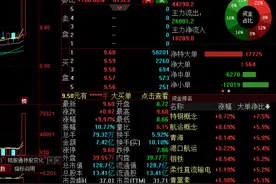 东方电子放量涨停，逾万手买单封板，机构大举抛售图片