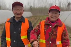 不一样的情人节，武汉新洲金婚老人讲爱情故事图片