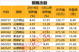 全球第二大铜矿暂时停产，铜供应紧张，我国铜产量2022年增长4.5%，概念股集体上涨图片